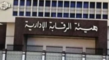 مصطلحات الحوكمة الأساسية التي تعزز مكافحة الفساد في اليوم العالمي لمواجهته 1